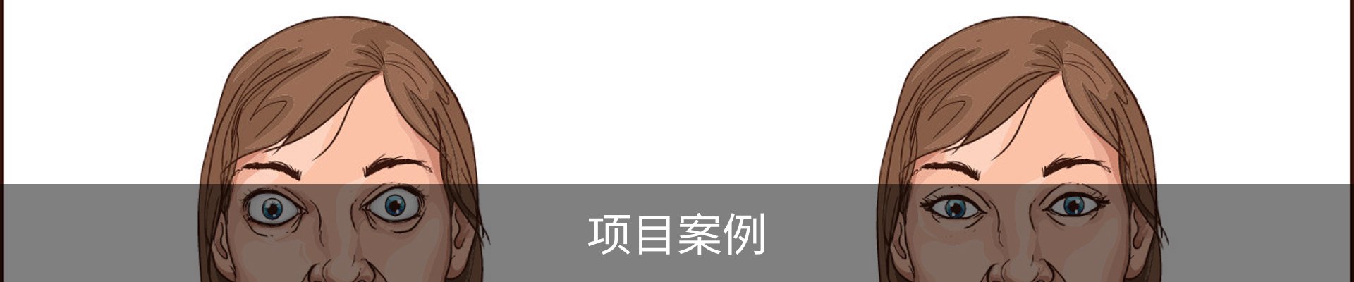 项目案例